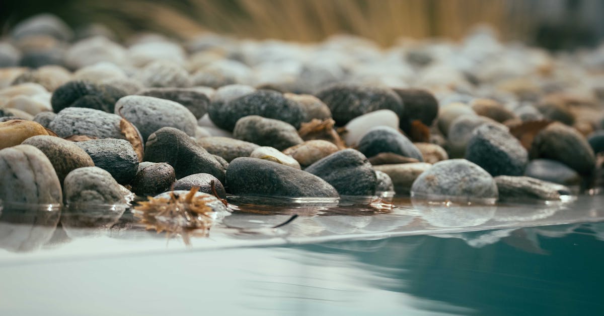 , où commence le voyage vers un bien-être accru et une meilleure posture. Notre méthode unique et non invasive facilite le rétablissement de l’équilibre naturel du corps grâce à des impulsions douces et imperceptibles. Conçue pour favoriser