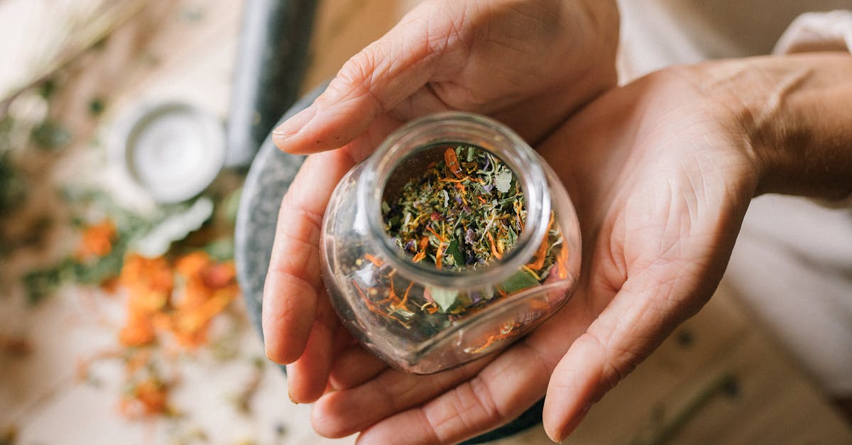 discover the power of natural remedies to enhance your well-being. explore effective herbal treatments, homeopathic solutions, and organic practices that promote health and vitality. embrace nature's healing gifts for a balanced lifestyle.