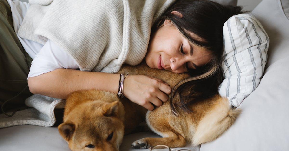 découvrez les meilleures positions de sommeil pour une nuit réparatrice. découvrez comment différentes postures peuvent améliorer la qualité de votre sommeil et votre santé globale. Que vous dormiez sur le côté, sur le dos ou sur le ventre, découvrez des conseils pour améliorer votre confort et vous réveiller frais et dispos.