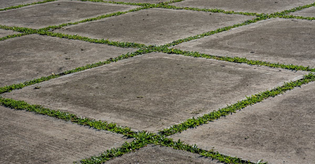 découvrez les principes de l'alignement durable, une approche holistique qui intègre des pratiques respectueuses de l'environnement dans les stratégies organisationnelles, favorisant l'harmonie entre la croissance économique et la gestion de l'environnement.