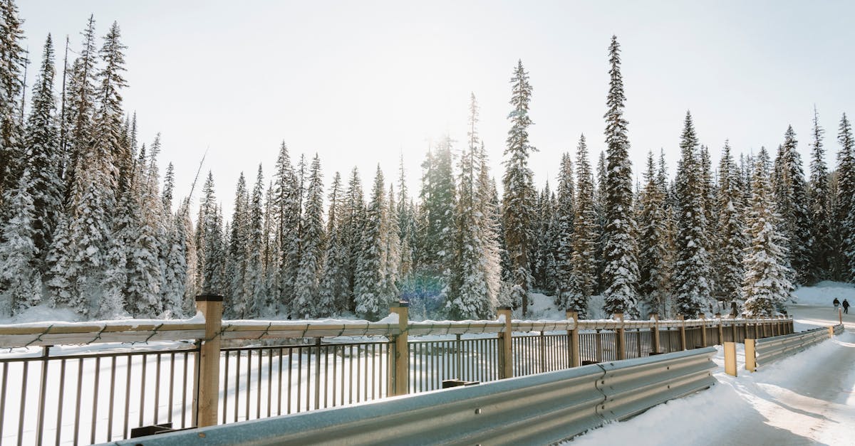 discover the causes, symptoms, and effective treatments for frozen shoulder. our comprehensive guide provides insights into this condition, helping you understand how to manage pain and regain mobility for a healthier lifestyle.