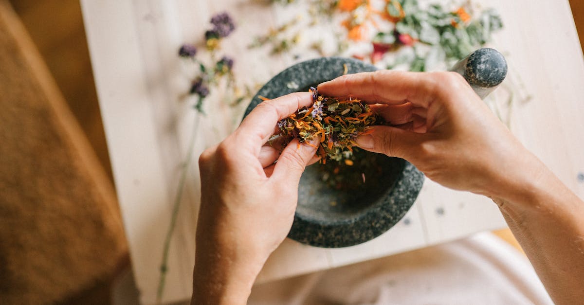 découvrez le pouvoir des remèdes naturels pour améliorer votre bien-être. explorez des traitements à base de plantes efficaces, des huiles essentielles et des pratiques holistiques qui favorisent la santé et l'équilibre sans les effets secondaires de la médecine conventionnelle.