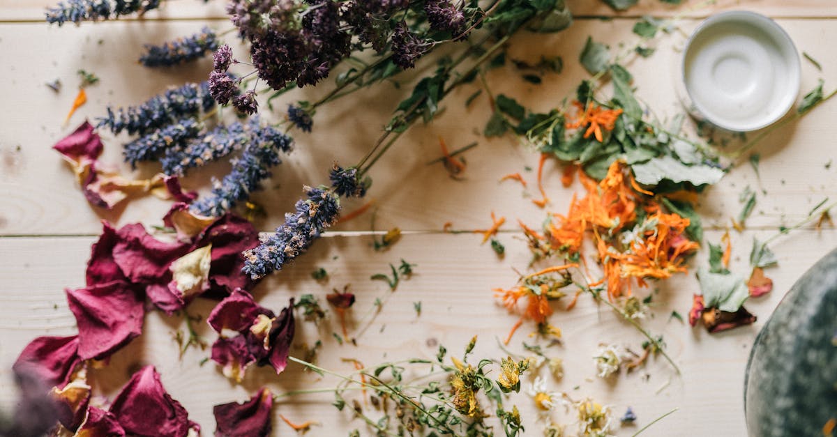 discover the power of natural remedies to enhance your health and well-being. explore effective herbal treatments, homeopathic solutions, and holistic approaches that promote healing without harsh chemicals. embrace nature's gifts for a healthier life!