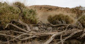 discover the causes, symptoms, and effective remedies for dehydration. learn how to recognize the signs and stay hydrated for optimal health and well-being.