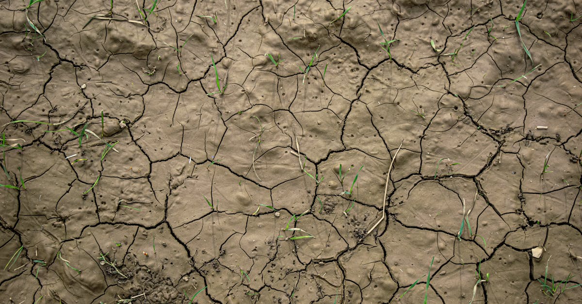 discover the causes, symptoms, and effects of dehydration. learn how to stay hydrated and the importance of water for overall health and wellness.