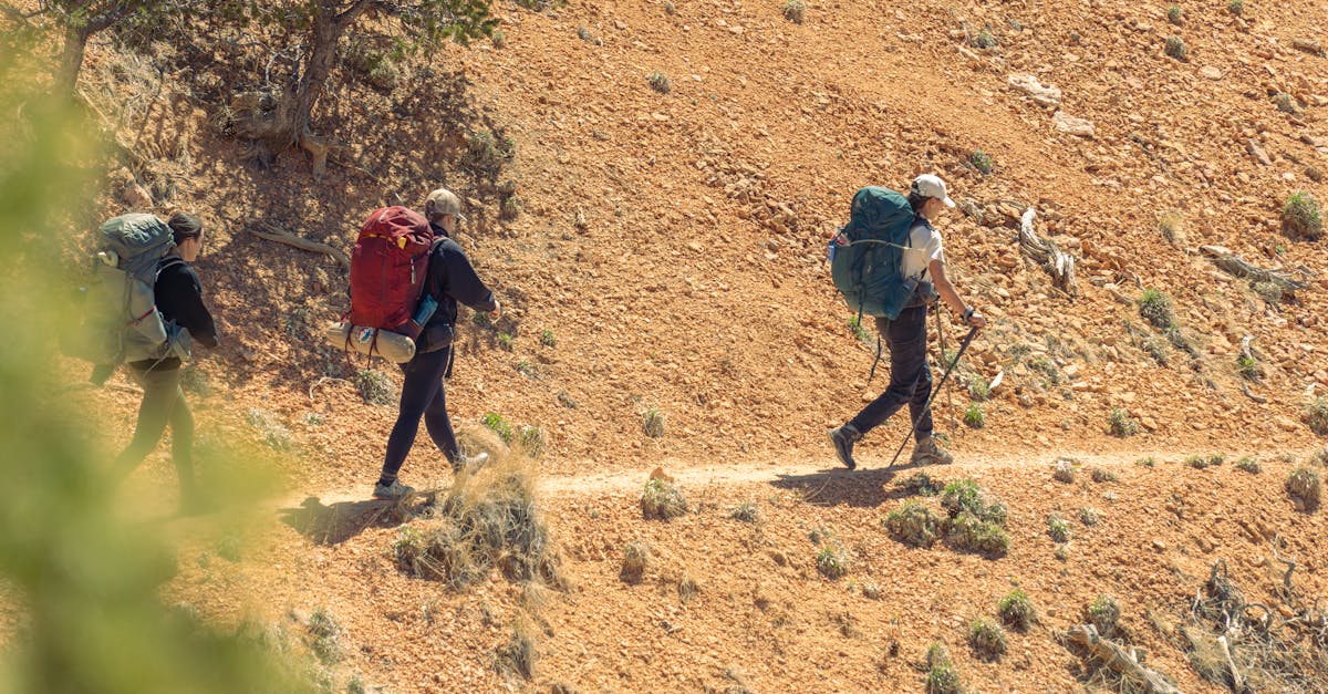 discover the perfect blend of comfort and functionality with our ergonomic backpacks. designed to reduce strain on your back and shoulders, these stylish bags provide ample storage for all your essentials. ideal for students, travelers, and outdoor enthusiasts alike.