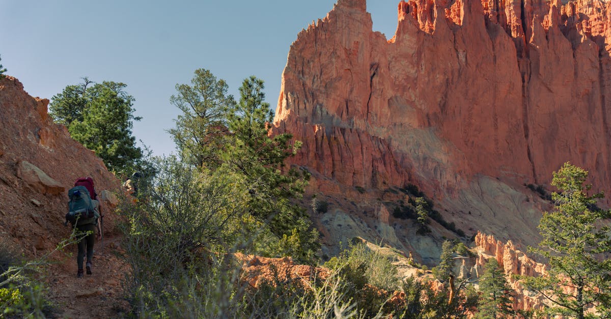 discover the ultimate comfort with our ergonomic backpacks designed to provide optimal support and reduce strain. perfect for daily commutes, travel, and outdoor adventures, these backpacks combine functionality and style to keep you organized and comfortable on the go.