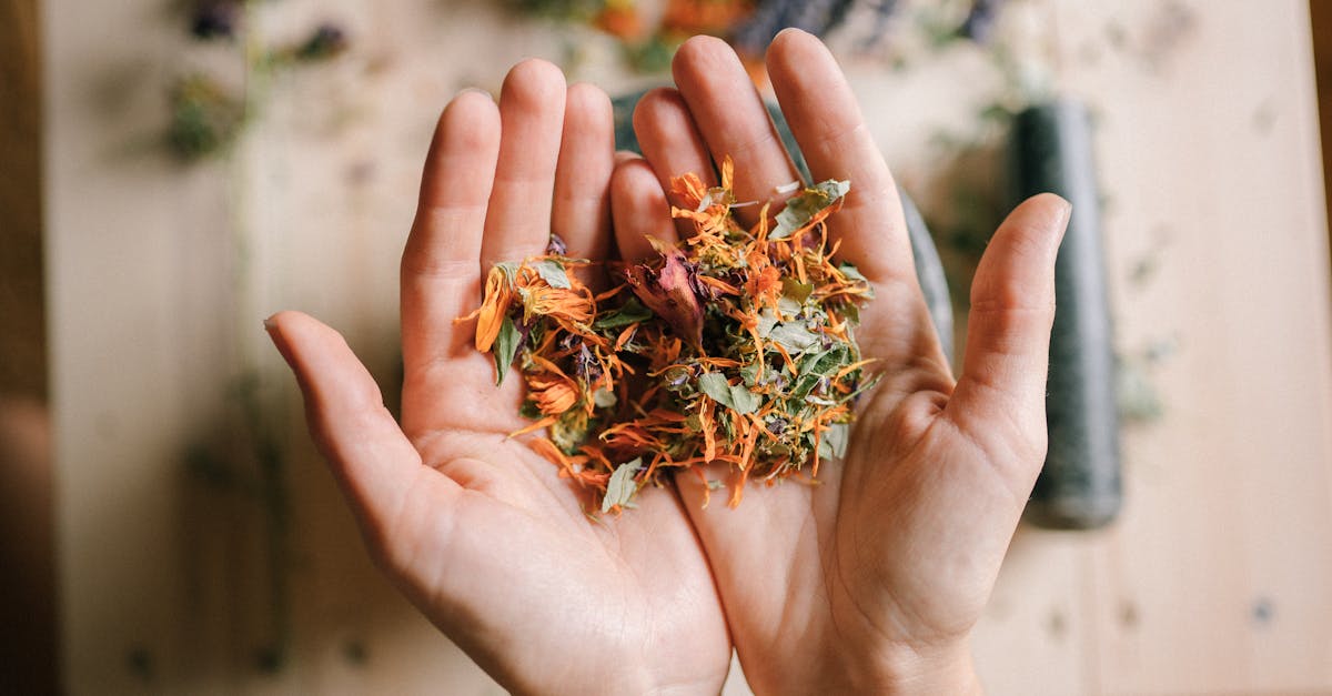 discover the power of natural remedies for your health and wellness. explore effective solutions derived from nature to alleviate ailments, boost immunity, and promote overall well-being with safe and holistic approaches.