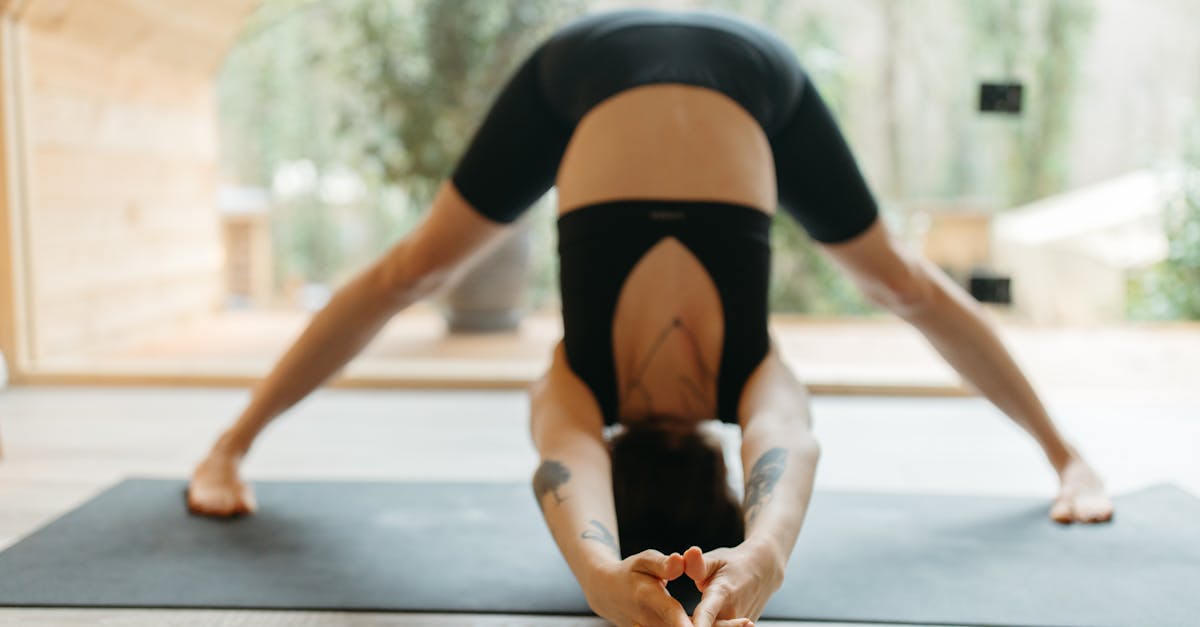 Techniques douces :