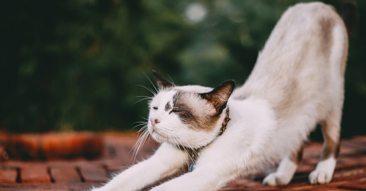 Utilisez des méthodes douces et non invasives pour favoriser la relaxation.