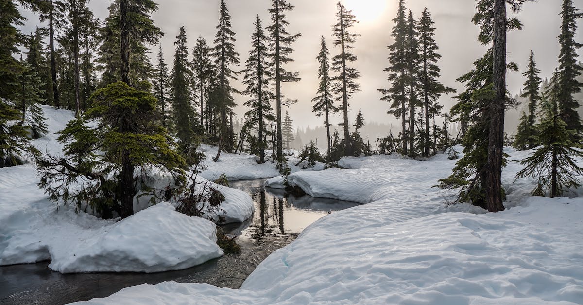 discover effective treatments and insights about frozen shoulder, a condition characterized by stiffness and pain in the shoulder joint. learn about causes, symptoms, and recovery tips to regain your mobility and improve your quality of life.