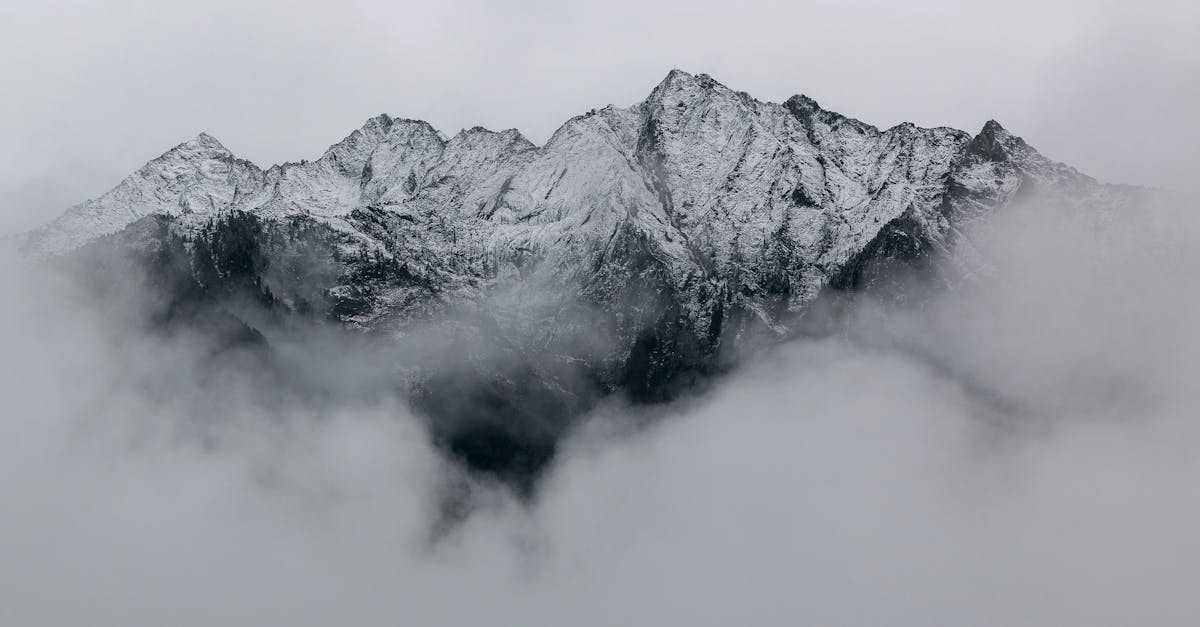 Pulse Align, soulignant comment nos services leur ont permis de se sentir plus équilibrés et dynamiques. L'accent mis sur la santé holistique permet aux clients de bénéficier d'un environnement propice où ils peuvent libérer leur potentiel de guérison sans mesures invasives.
