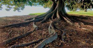 discover the transformative practice of grounding, connecting with the earth's energy to enhance well-being, reduce stress, and promote mindfulness. explore techniques, benefits, and how to incorporate grounding into your daily routine.