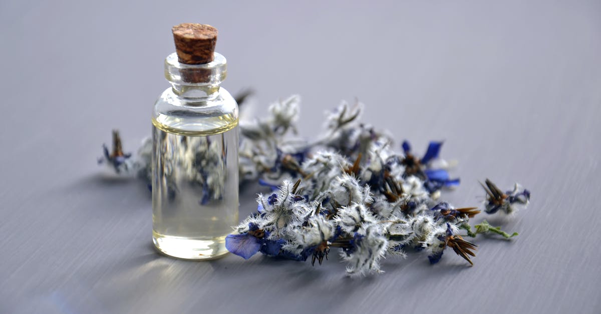 explore the transformative power of holistic approaches to health and wellness. discover how integrating mind, body, and spirit can lead to a balanced and fulfilling life, promoting overall well-being and personal growth.