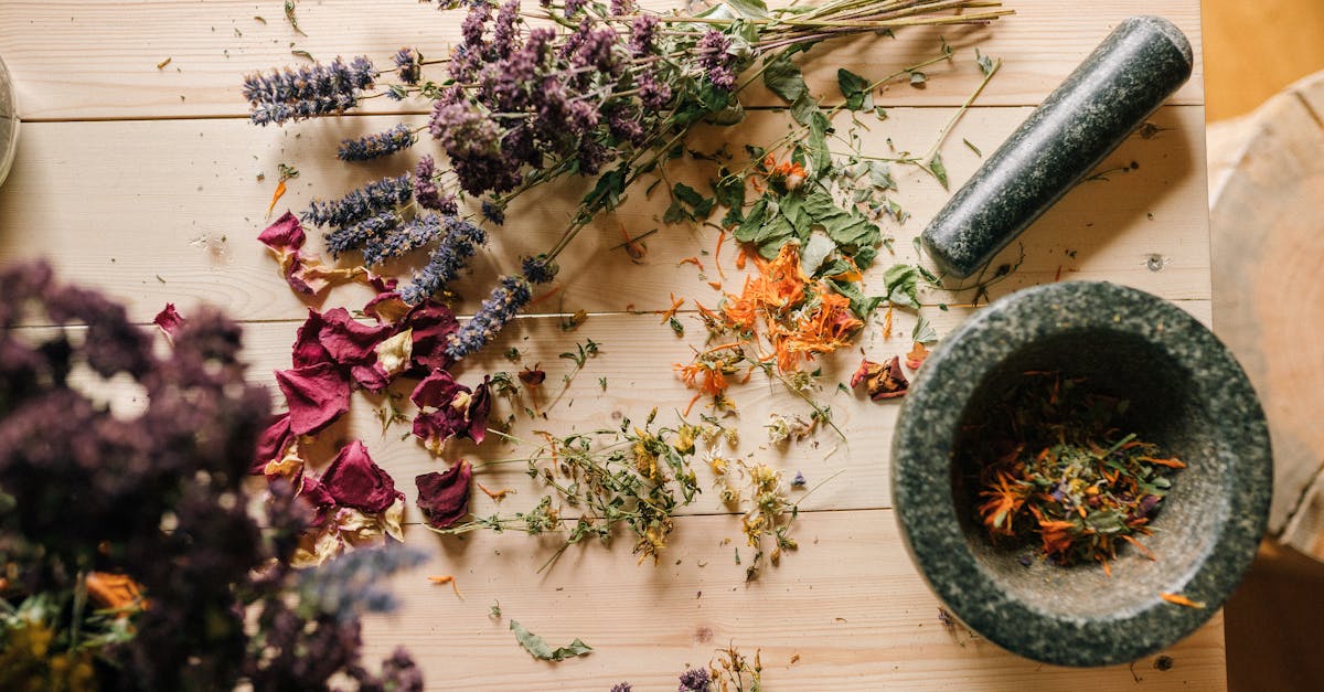 discover effective natural remedies to boost your health and well-being. explore herbal solutions, home treatments, and holistic approaches to enhance your lifestyle and promote vitality.
