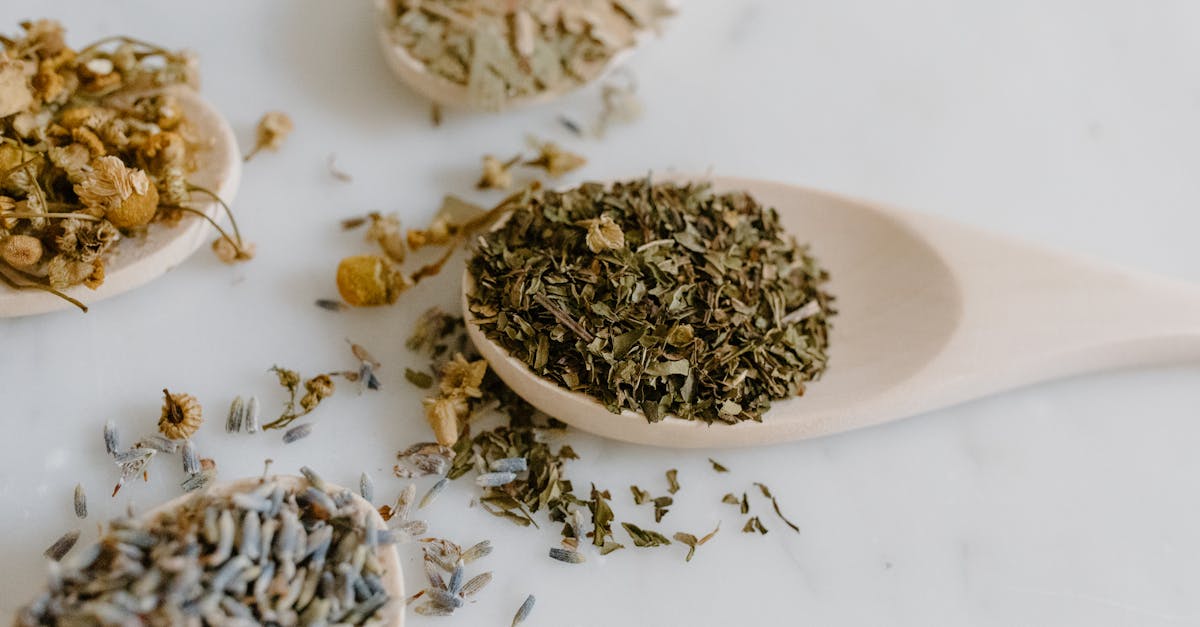 explore the world of natural remedies to enhance your well-being. discover effective and holistic solutions using herbal treatments, essential oils, and natural ingredients for common health issues.