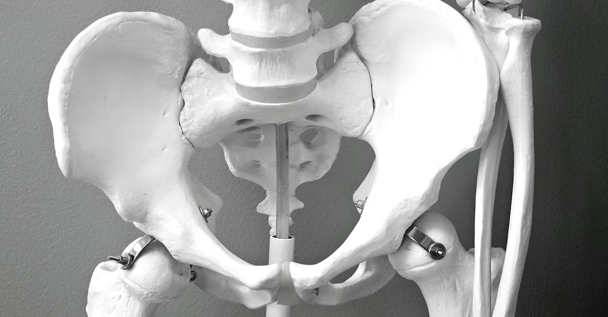 discover the benefits of pelvic tilts, a simple yet effective exercise to strengthen your core, improve posture, and alleviate lower back pain. learn how to perform this essential movement and integrate it into your workout routine for better overall health.