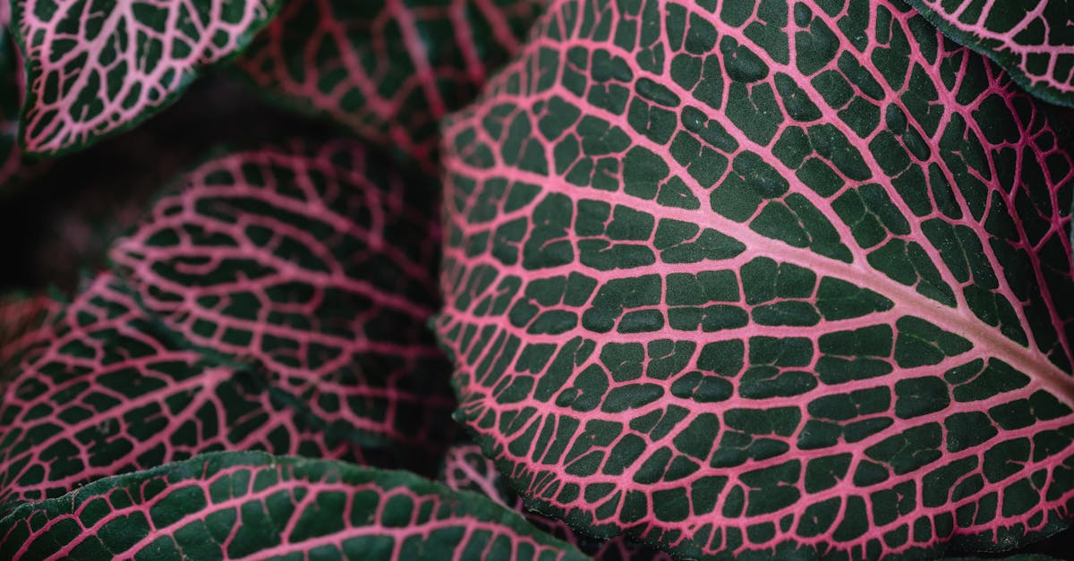 discover the causes, symptoms, and effective treatments for pinched nerves. learn how to manage pain and regain mobility with expert advice and tips for recovery.