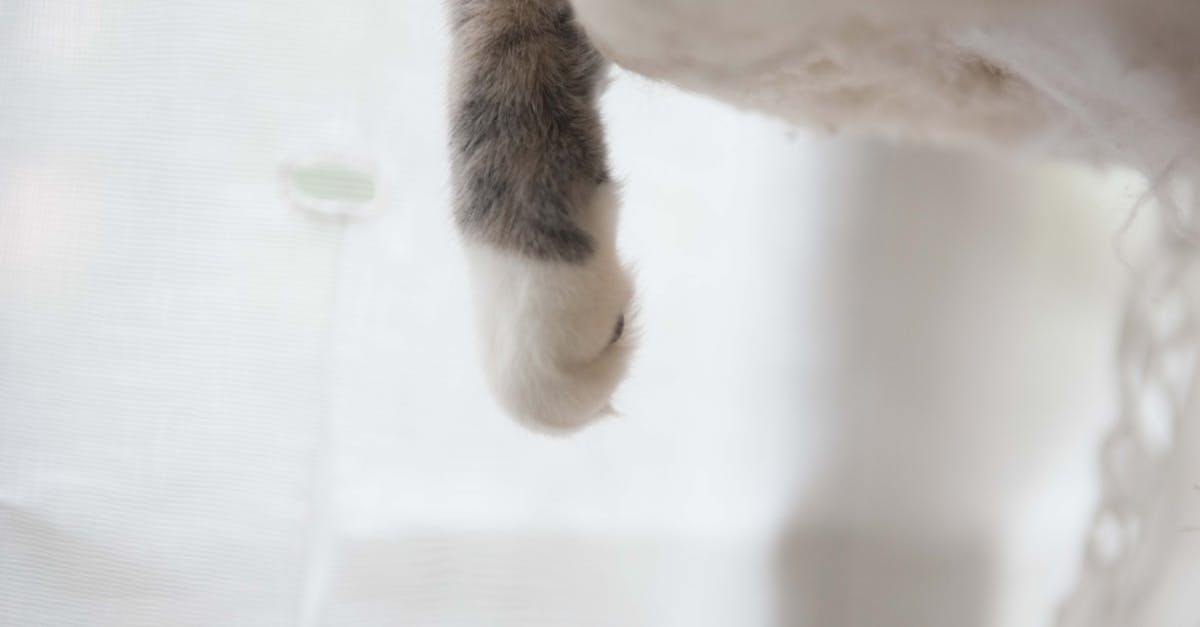 discover the best sleeping postures for optimal rest and health. learn how different positions affect your body and find tips for improving your sleep quality.
