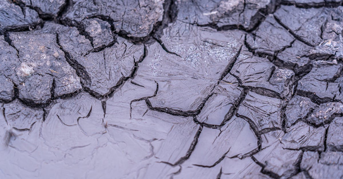 discover the causes, symptoms, and prevention tips for dehydration. learn how to stay hydrated and understand the impact of dehydration on your health.