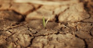 explore the causes, symptoms, and effects of dehydration, and discover effective prevention and treatment strategies to stay hydrated and maintain optimal health.