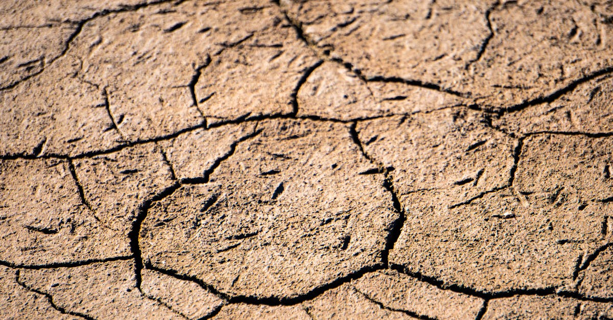 discover the causes, symptoms, and treatments of dehydration. learn how to prevent dehydration and stay hydrated for optimal health and wellness.