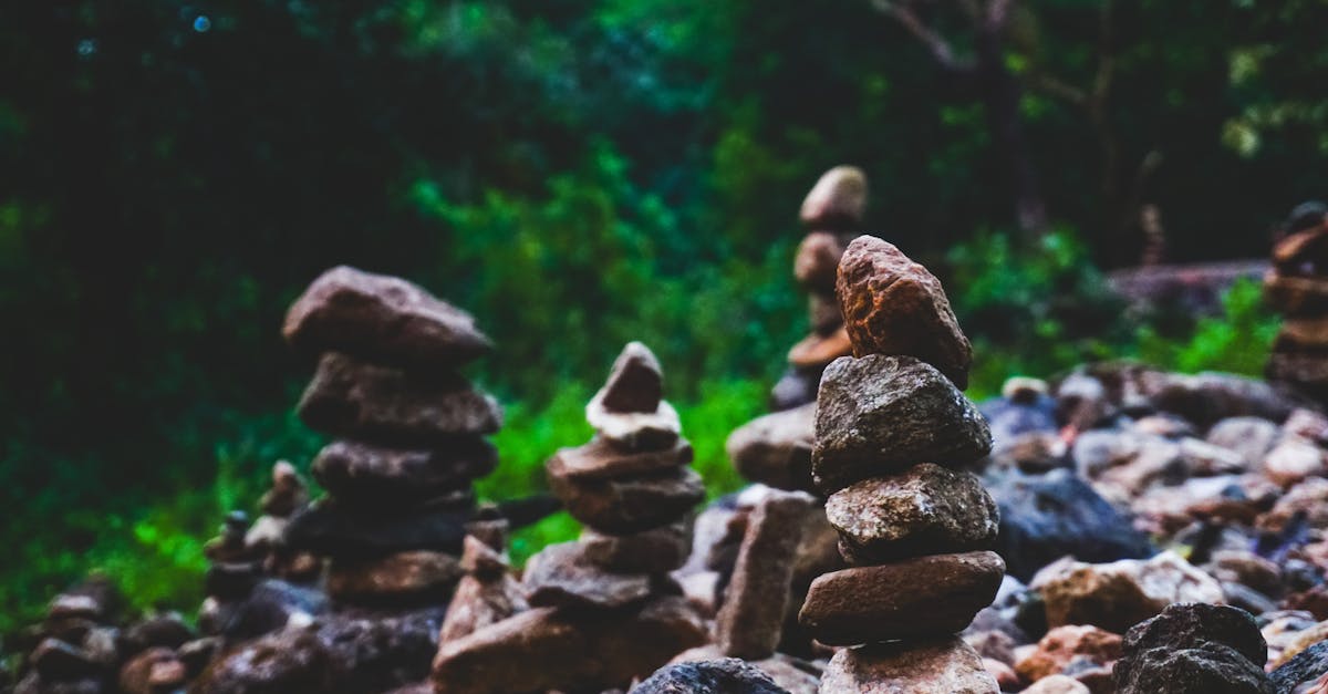 Chez Pulse Align, nous croyons que les parcours personnels vers le bien-être doivent être personnalisés pour chaque individu. Notre équipe dévouée reçoit des témoignages sincères de clients qui ont vécu des transformations remarquables, allant d'une meilleure symétrie musculaire à une meilleure posture et une vitalité globale accrue. De nombreux clients ont exprimé leur satisfaction quant à la diminution des tensions au niveau du cou et du dos, démontrant ainsi comment nos méthodes holistiques favorisent un environnement propice à l'épanouissement sans intervention directe.