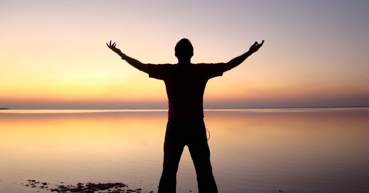 explore the essence of freedom and its impact on our lives. delve into the various interpretations of freedom, from personal liberty to societal constraints, and discover how it shapes our world.