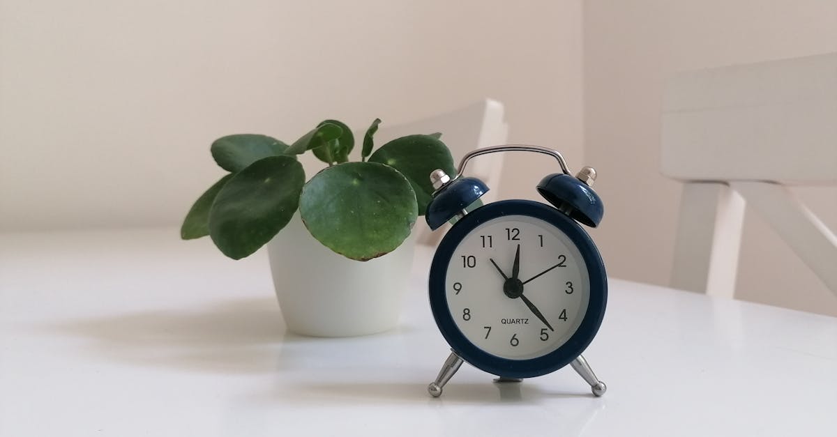 discover the secrets to a productive day with our ultimate morning routine guide. transform your mornings into a time for mindfulness, energy, and focus. learn tips and strategies to kickstart your day and boost your overall well-being.