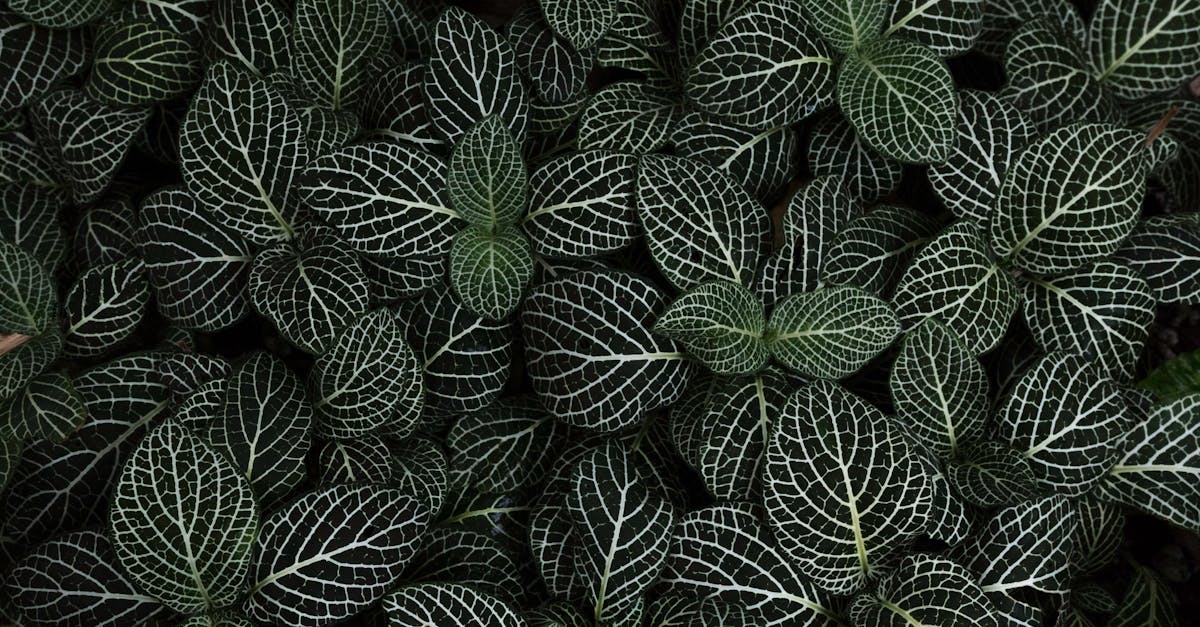 learn about pinched nerves, including symptoms, causes, and treatment options. understand how a pinched nerve can affect your daily life and discover strategies for relief.