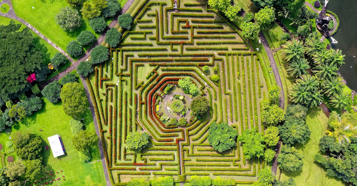 learn about labyrinthitis, including its symptoms, causes, diagnosis, and available treatments. find out how this inner ear disorder affects balance and hearing, and what you can do to manage it effectively.