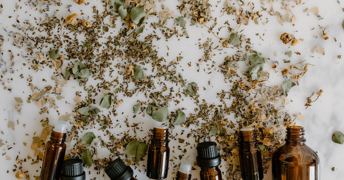 explore effective natural remedies for common ailments and wellness—evidence-informed tips, herbal options, and safe home solutions to feel better naturally.