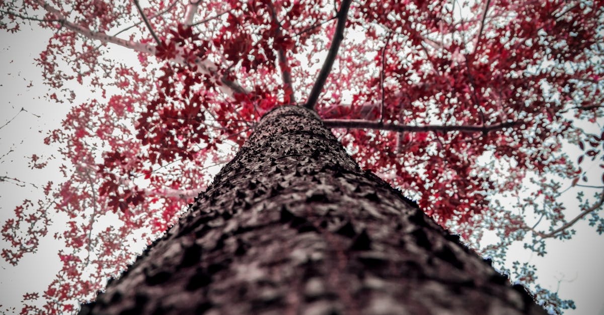 learn about vertigo: causes, symptoms, treatment options, and tips to manage dizziness and balance issues. get expert insights and when to seek medical help.