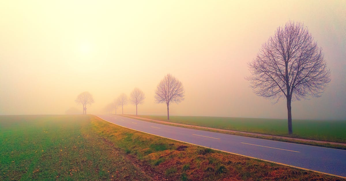 discover the true meaning of serenity. explore practical tips, calming techniques, and inspiring insights to help you find peace and tranquility in everyday life.