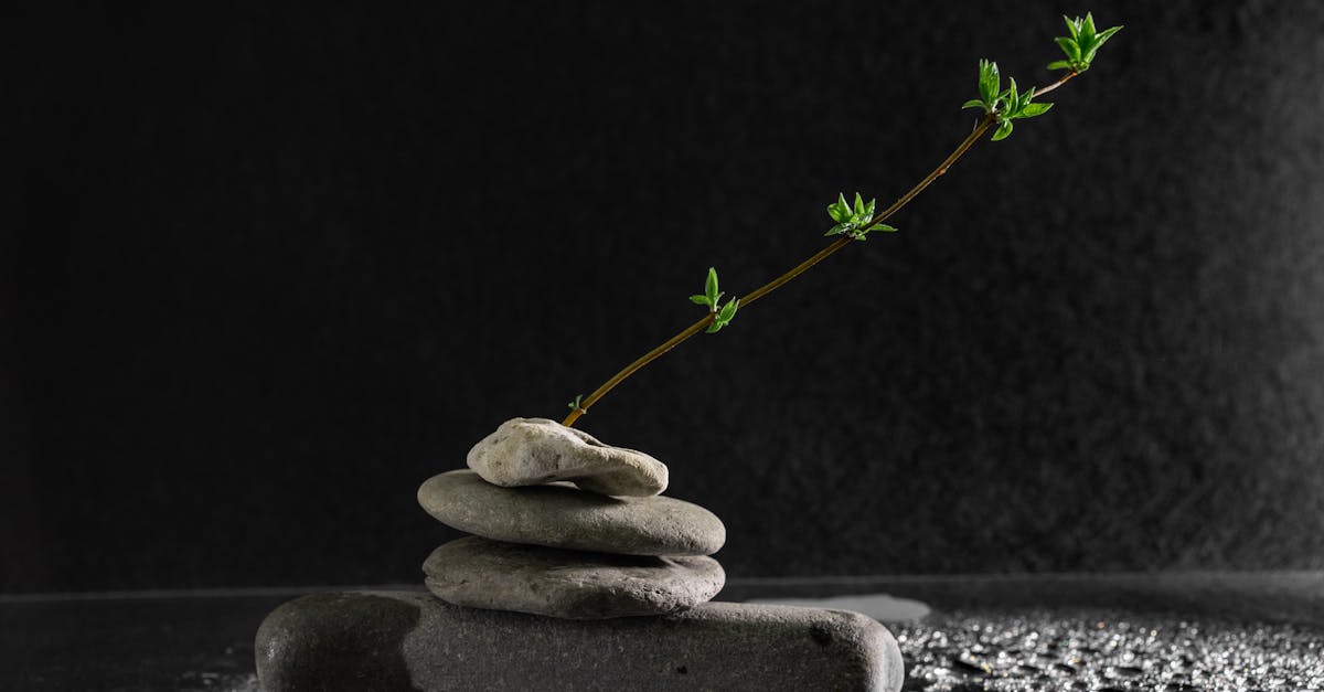 Gestion des vertiges :